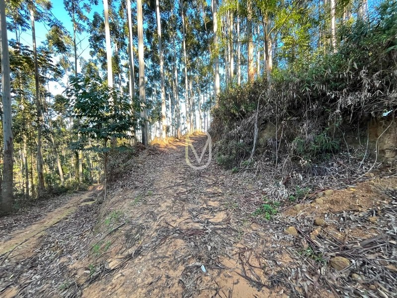 Terreno de 4.8 hec á Venda bairro Bom Jesus em Armazém-SC: 5ª foto da galeria de imagens do imóvel