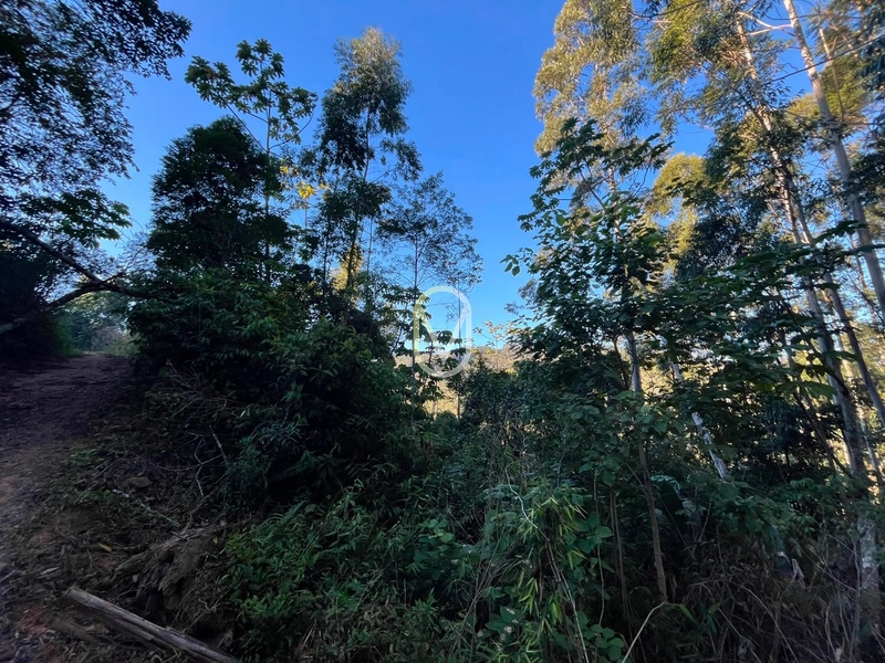 Terreno de 4.8 hec á Venda bairro Bom Jesus em Armazém-SC: 10ª foto da galeria de imagens do imóvel