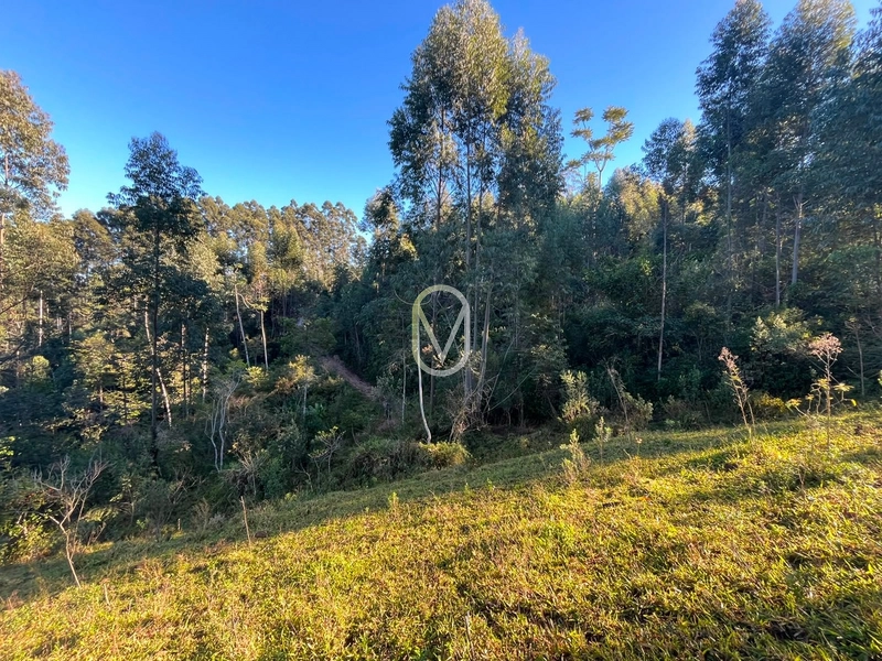 Terreno de 4.8 hec á Venda bairro Bom Jesus em Armazém-SC: 30ª foto da galeria de imagens do imóvel