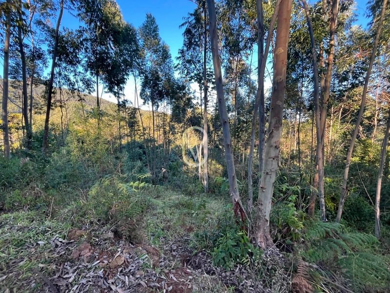 Terreno de 4.8 hec á Venda bairro Bom Jesus em Armazém-SC: 20ª foto da galeria de imagens do imóvel