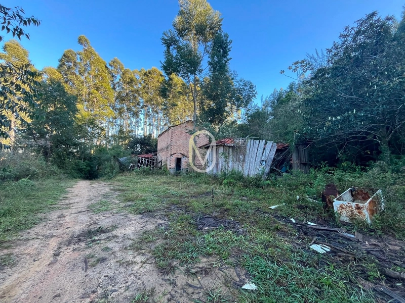 Terreno de 4.8 hec á Venda bairro Bom Jesus em Armazém-SC: 14ª foto da galeria de imagens do imóvel