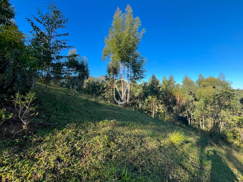 Terreno de 4.8 hec á Venda bairro Bom Jesus em Armazém-SC: 28ª foto da galeria de imagens do imóvel
