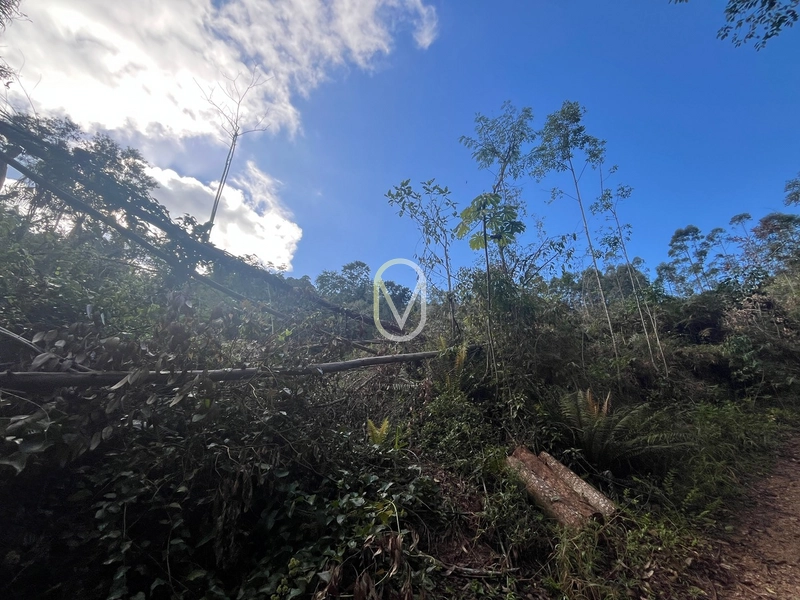 Terreno de 7 hectares á Venda no bairro Santa Terezinha em Armazém-SC: 18ª foto da galeria de imagens do imóvel