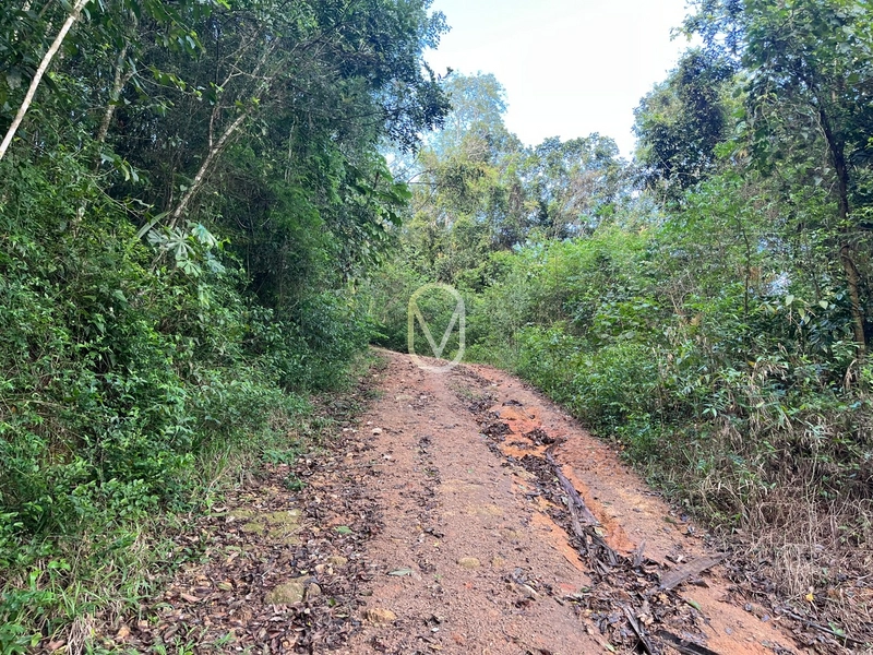 Terreno de 7 hectares á Venda no bairro Santa Terezinha em Armazém-SC: 16ª foto da galeria de imagens do imóvel