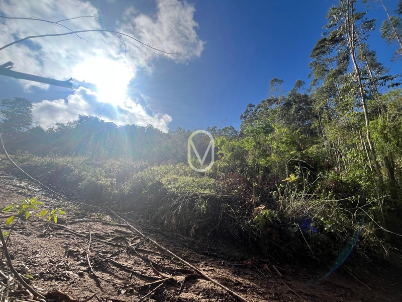 Terreno de 7 hectares á Venda no bairro Santa Terezinha em Armazém-SC: 20ª foto da galeria de imagens do imóvel