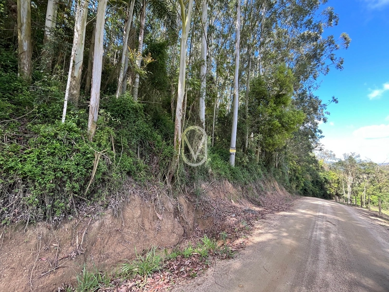 Terreno de 7 hectares á Venda no bairro Santa Terezinha em Armazém-SC: 15ª foto da galeria de imagens do imóvel