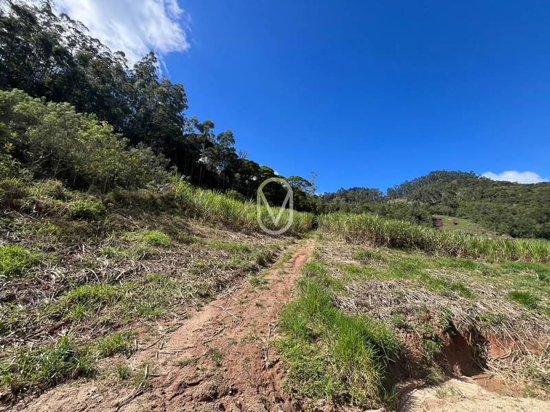 Terreno de 7 hectares á Venda no bairro Santa Terezinha em Armazém-SC: 12ª foto da galeria de imagens do imóvel