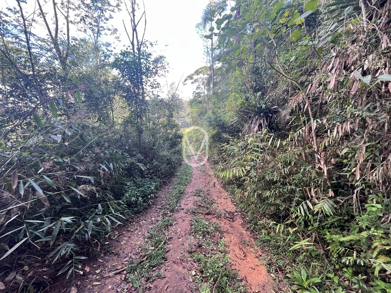 Terreno de 7 hectares á Venda no bairro Santa Terezinha em Armazém-SC: 46ª foto da galeria de imagens do imóvel