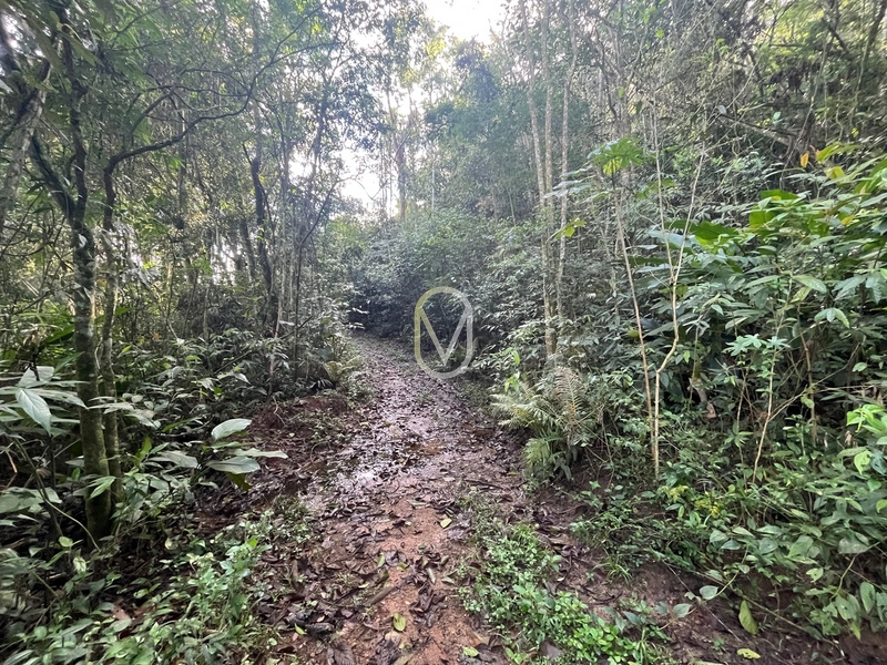 Terreno de 7 hectares á Venda no bairro Santa Terezinha em Armazém-SC: 43ª foto da galeria de imagens do imóvel