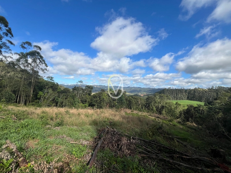Terreno de 7 hectares á Venda no bairro Santa Terezinha em Armazém-SC: 38ª foto da galeria de imagens do imóvel