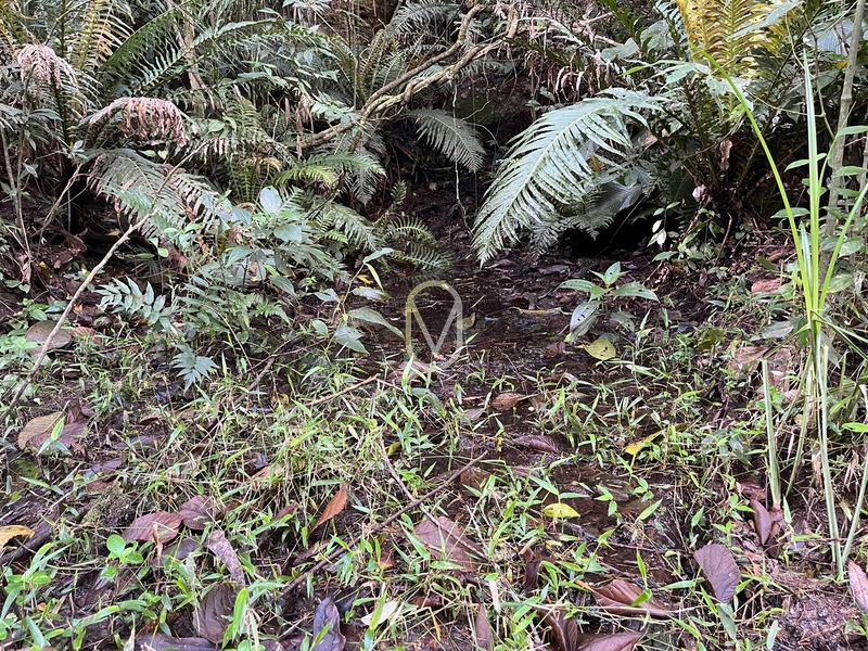Terreno de 7 hectares á Venda no bairro Santa Terezinha em Armazém-SC: 42ª foto da galeria de imagens do imóvel