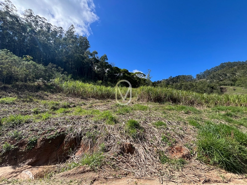 Terreno de 7 hectares á Venda no bairro Santa Terezinha em Armazém-SC: 13ª foto da galeria de imagens do imóvel