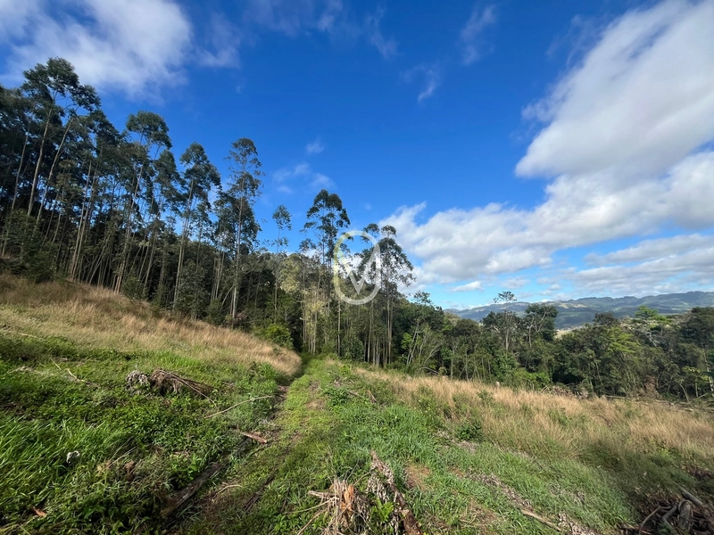 Terreno de 7 hectares á Venda no bairro Santa Terezinha em Armazém-SC: 39ª foto da galeria de imagens do imóvel