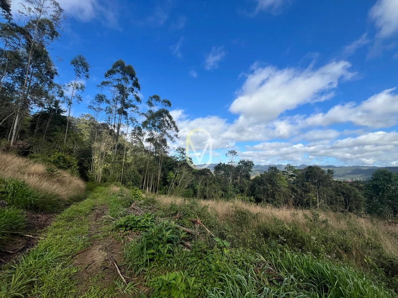 Terreno de 7 hectares á Venda no bairro Santa Terezinha em Armazém-SC: 36ª foto da galeria de imagens do imóvel