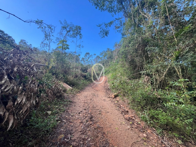 Terreno de 7 hectares á Venda no bairro Santa Terezinha em Armazém-SC: 17ª foto da galeria de imagens do imóvel