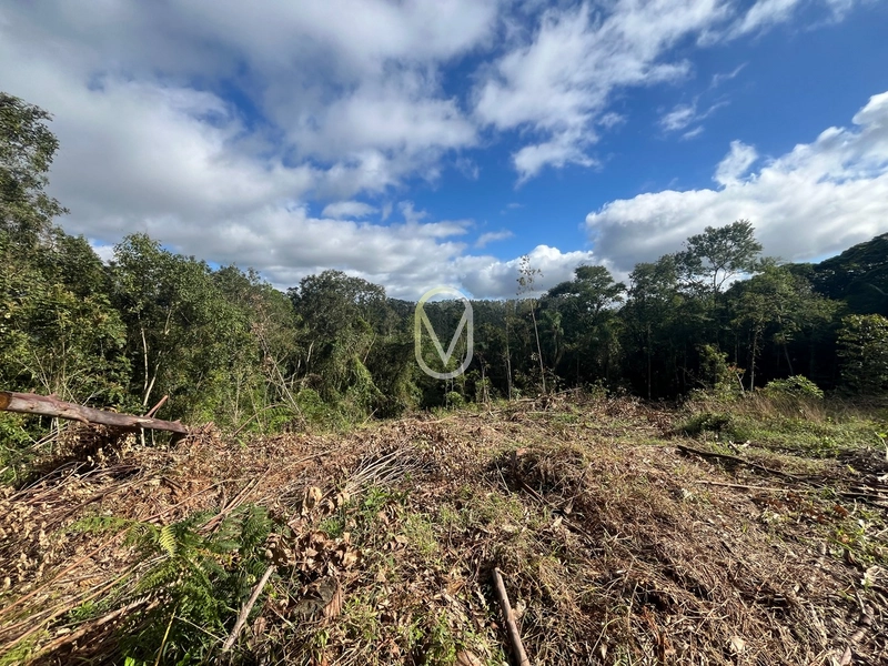 Terreno de 7 hectares á Venda no bairro Santa Terezinha em Armazém-SC: 23ª foto da galeria de imagens do imóvel