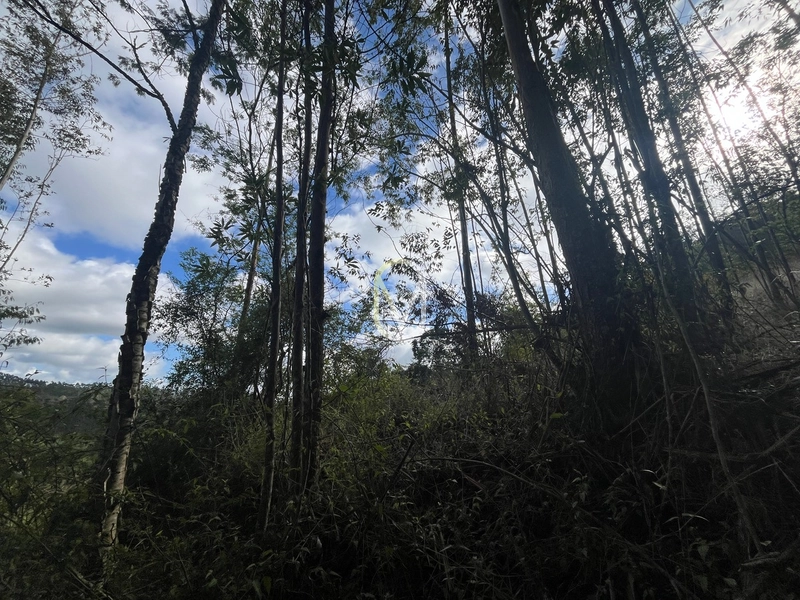Terreno de 7 hectares á Venda no bairro Santa Terezinha em Armazém-SC: 30ª foto da galeria de imagens do imóvel