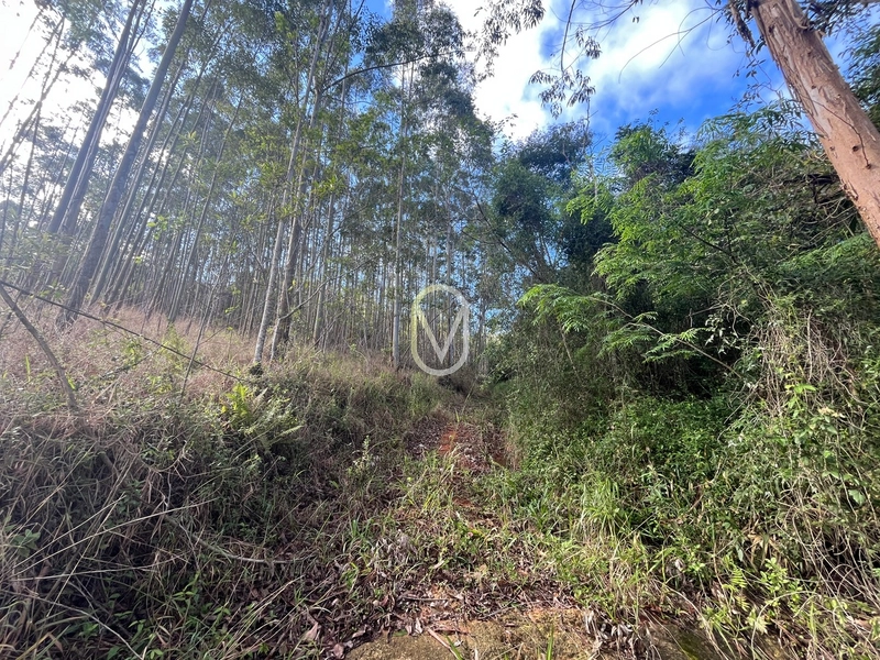 Terreno de 7 hectares á Venda no bairro Santa Terezinha em Armazém-SC: 27ª foto da galeria de imagens do imóvel