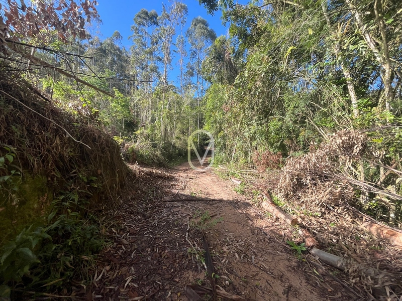 Terreno de 7 hectares á Venda no bairro Santa Terezinha em Armazém-SC: 19ª foto da galeria de imagens do imóvel