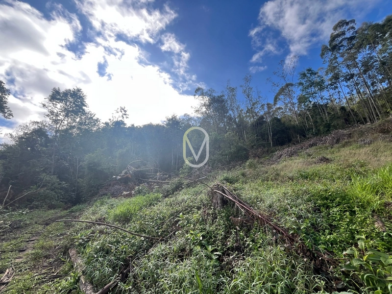 Terreno de 7 hectares á Venda no bairro Santa Terezinha em Armazém-SC: 33ª foto da galeria de imagens do imóvel