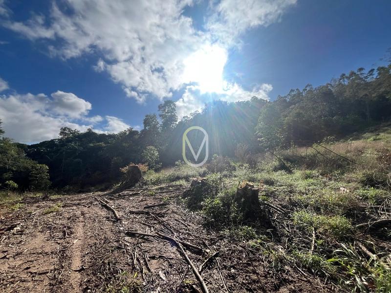 Terreno de 7 hectares á Venda no bairro Santa Terezinha em Armazém-SC: 22ª foto da galeria de imagens do imóvel