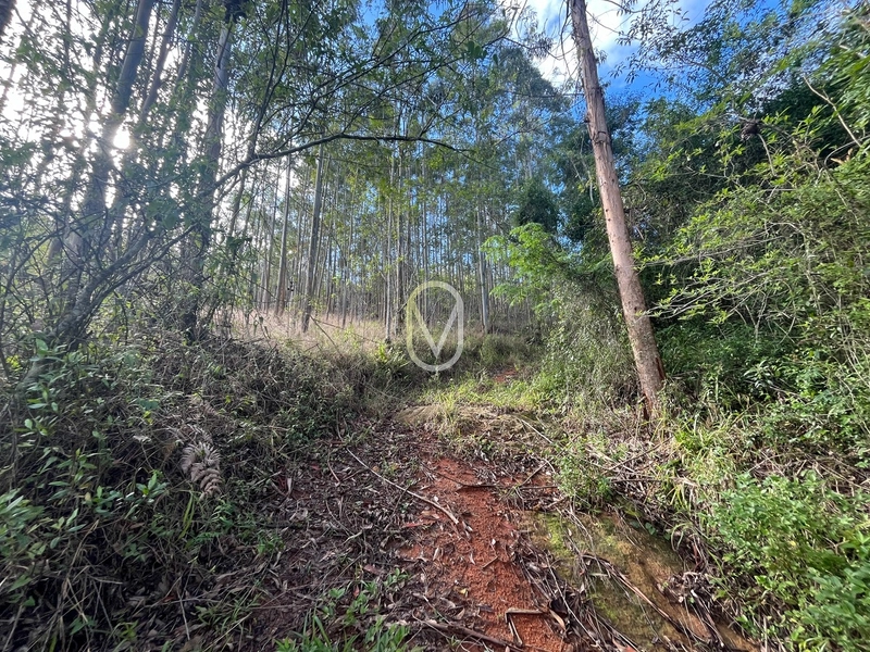 Terreno de 7 hectares á Venda no bairro Santa Terezinha em Armazém-SC: 26ª foto da galeria de imagens do imóvel