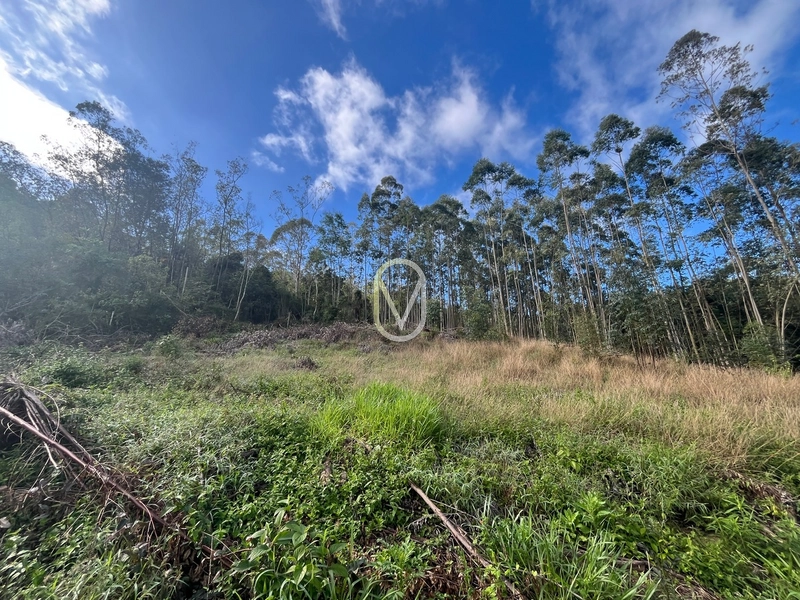 Terreno de 7 hectares á Venda no bairro Santa Terezinha em Armazém-SC: 32ª foto da galeria de imagens do imóvel