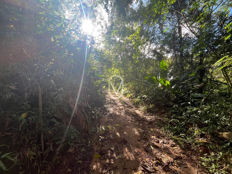 Terreno de 7 hectares á Venda no bairro Santa Terezinha em Armazém-SC: 45ª foto da galeria de imagens do imóvel