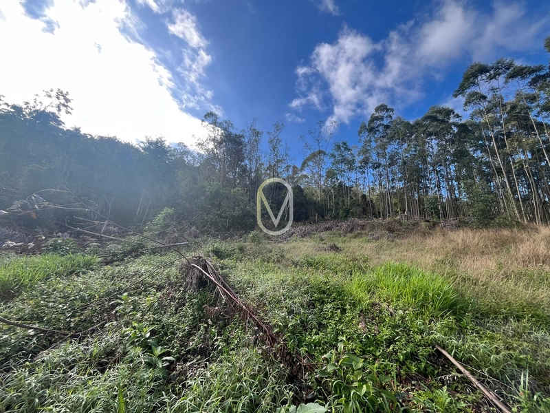 Terreno de 7 hectares á Venda no bairro Santa Terezinha em Armazém-SC: 31ª foto da galeria de imagens do imóvel
