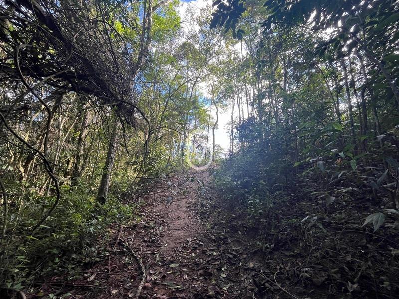 Terreno de 7 hectares á Venda no bairro Santa Terezinha em Armazém-SC: 40ª foto da galeria de imagens do imóvel