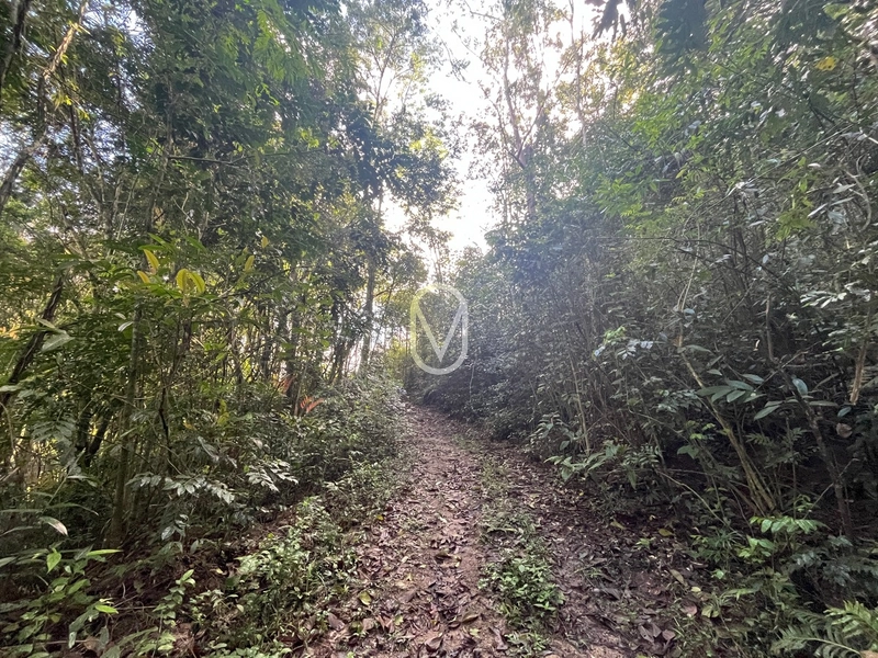 Terreno de 7 hectares á Venda no bairro Santa Terezinha em Armazém-SC: 41ª foto da galeria de imagens do imóvel