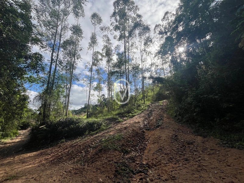 Terreno de 7 hectares á Venda no bairro Santa Terezinha em Armazém-SC: 25ª foto da galeria de imagens do imóvel