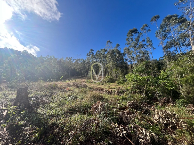 Terreno de 7 hectares á Venda no bairro Santa Terezinha em Armazém-SC: 21ª foto da galeria de imagens do imóvel