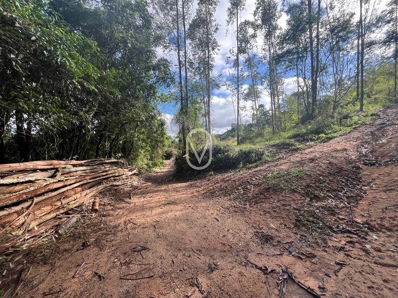 Terreno de 7 hectares á Venda no bairro Santa Terezinha em Armazém-SC: 24ª foto da galeria de imagens do imóvel