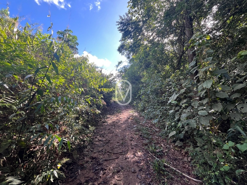 Terreno de 7 hectares á Venda no bairro Santa Terezinha em Armazém-SC: 44ª foto da galeria de imagens do imóvel