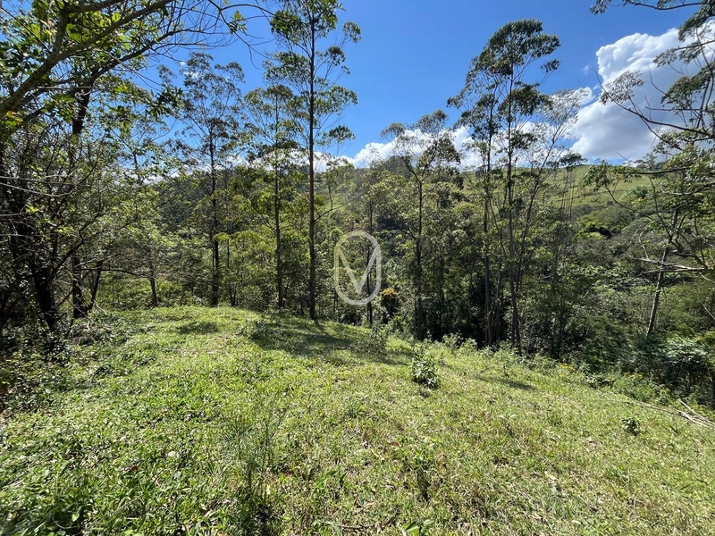 Sitio á Venda em Armazém-SC: 30ª foto da galeria de imagens do imóvel