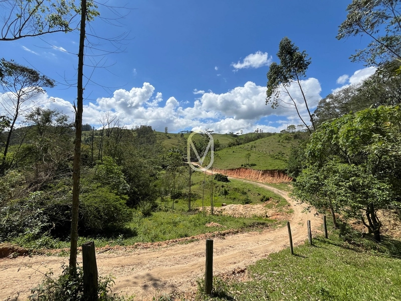 Sitio á Venda em Armazém-SC: 6ª foto da galeria de imagens do imóvel