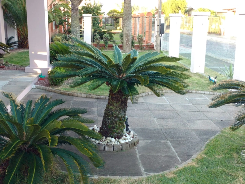 casa em Atlântida fora de condomínio, com piscina e anexo!: 4ª foto da galeria de imagens do imóvel