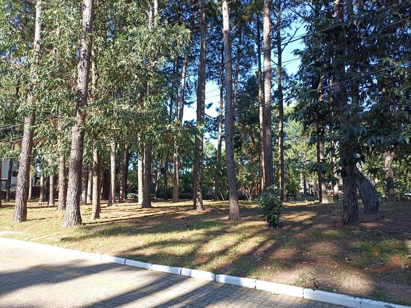 Terreno Condomínio: 1ª foto da galeria de imagens do imóvel
