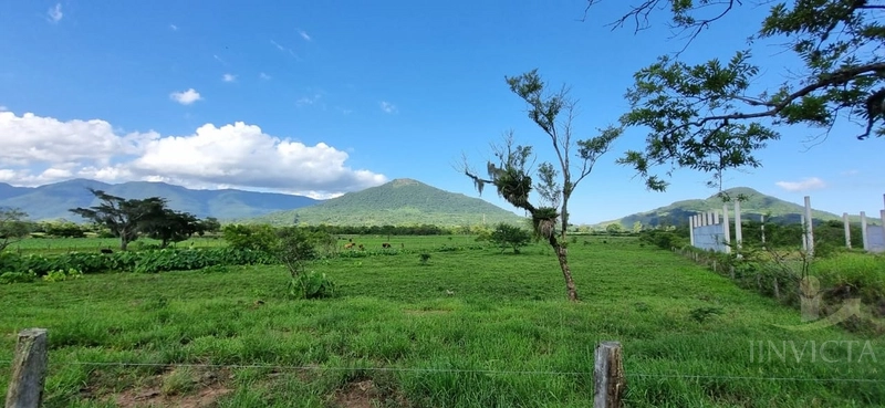 Área com 1,8 hectares a venda em Maquiné!: 5ª foto da galeria de imagens do imóvel