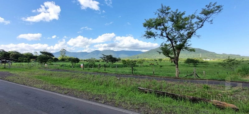 Área com 1,8 hectares a venda em Maquiné!: 13ª foto da galeria de imagens do imóvel