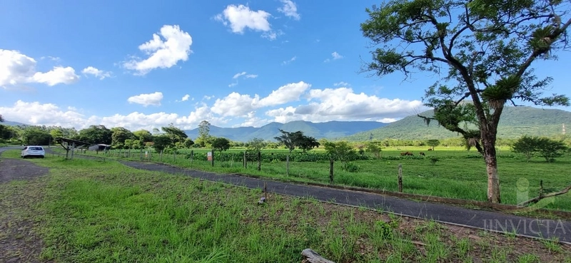 Área com 1,8 hectares a venda em Maquiné!: 14ª foto da galeria de imagens do imóvel