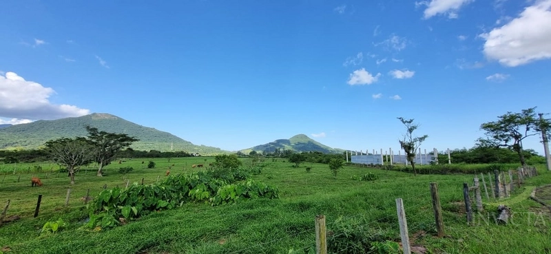 Área com 1,8 hectares a venda em Maquiné!: 4ª foto da galeria de imagens do imóvel