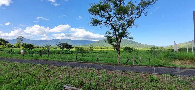 Área com 1,8 hectares a venda em Maquiné!: 15ª foto da galeria de imagens do imóvel