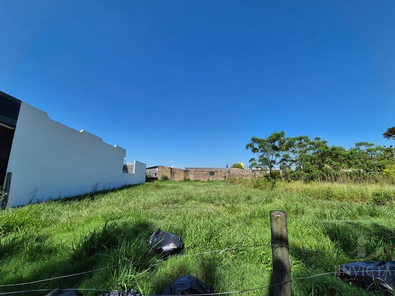 Aluguel terreno: 5ª foto da galeria de imagens do imóvel