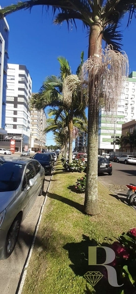 APARTAMENT 02 DORMITÓRIS NA AVENIDA: 3ª foto da galeria de imagens do imóvel