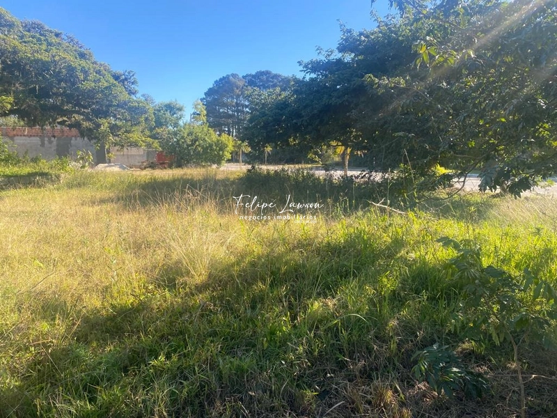 Terreno 6x25 no Laranjal para residencial ou comercial: 10ª foto da galeria de imagens do imóvel