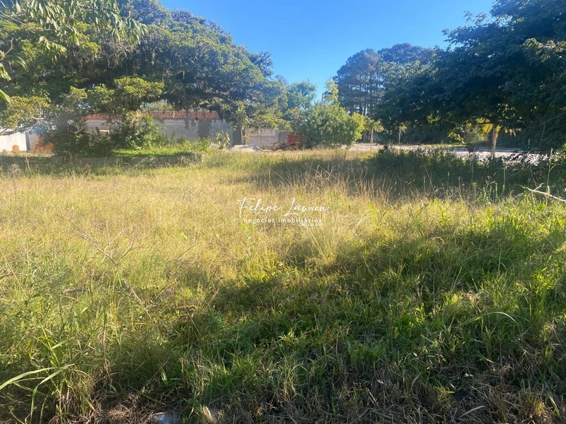 Terreno 6x25 no Laranjal para residencial ou comercial: 5ª foto da galeria de imagens do imóvel