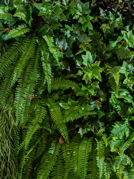 Exuberance: 39ª foto da galeria de imagens do imóvel