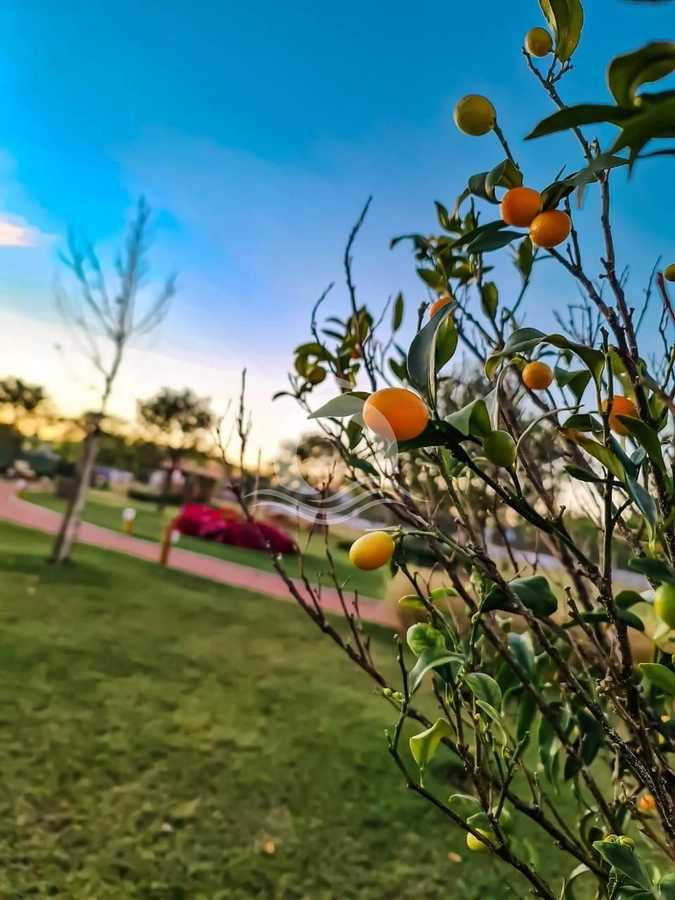 10ª foto do condomínio